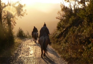 Randonnees equestres sur demande